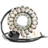 Arct oe style snow stator RICK'S MOTORSPORT ELECTRICS 24-009