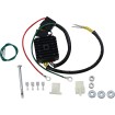 Regulator/rectificator LITH-ION HS RICK'S MOTORSPORT ELECTRICS 14-164H Regulator/rectificator LITH-ION HS RICK'S MOTORSPORT ELECTRICS 14-164H thumb