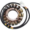 Stator KAWASAKI RICK'S MOTORSPORT ELECTRICS 21-727