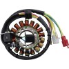 Stator SUZUKI RICK'S MOTORSPORT ELECTRICS 21-826