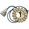 Stator BMW RICK'S MOTORSPORT ELECTRICS 21-038