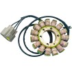 Stator BMW RICK'S MOTORSPORT ELECTRICS 21-038 thumb