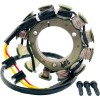 Stator KAWASAKI RICK'S MOTORSPORT ELECTRICS 21-729