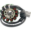 Stator YAMAHA RICK'S MOTORSPORT ELECTRICS 21-430 Stator YAMAHA RICK'S MOTORSPORT ELECTRICS 21-430 thumb
