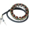 Stator DUCATI RICK'S MOTORSPORT ELECTRICS 21-039