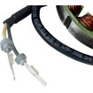 Stator DUCATI RICK'S MOTORSPORT ELECTRICS 21-039 Stator DUCATI RICK'S MOTORSPORT ELECTRICS 21-039 thumb