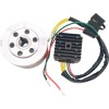 Set de încărcare HONDA RICK'S MOTORSPORT ELECTRICS 99-111