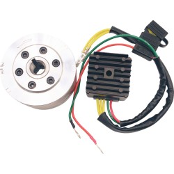 Set de încărcare HONDA RICK'S MOTORSPORT ELECTRICS 99-111 Set de încărcare HONDA RICK'S MOTORSPORT ELECTRICS 99-111