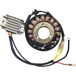 Set de încărcare H/S KAWASAKI RICK'S MOTORSPORT ELECTRICS 99-200H Set de încărcare H/S KAWASAKI RICK'S MOTORSPORT ELECTRICS 99-200H