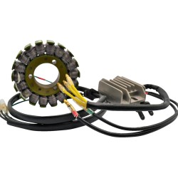Set de încărcare H/S KAWASAKI RICK'S MOTORSPORT ELECTRICS 14-99-201H