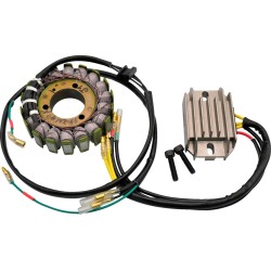 Set de încărcare H/S KAWASAKI RICK'S MOTORSPORT ELECTRICS 99-201H Set de încărcare H/S KAWASAKI RICK'S MOTORSPORT ELECTRICS 99-201H
