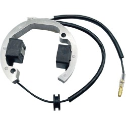 Stator KTM HUS 50 RICK'S MOTORSPORT ELECTRICS 21-0093