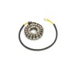 Stator HONDA RICK'S MOTORSPORT ELECTRICS 21-169