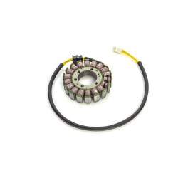 Stator HONDA RICK'S MOTORSPORT ELECTRICS 21-169