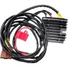 Rec/reg HT SHOT LITH comp RICK'S MOTORSPORT ELECTRICS 14-040H