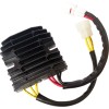 Rec/reg HT SHOT LITH comp RICK'S MOTORSPORT ELECTRICS 14-203H