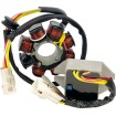 Kit de încărcare HT SHOT LITH COMP CHRG KIT RICK'S MOTORSPORT ELECTRICS 14-99-902H Kit de încărcare HT SHOT LITH COMP CHRG KIT RICK'S MOTORSPORT ELECTRICS 14-99-902H thumb