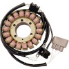 Stator stil Oe YAMAHA RICK'S MOTORSPORT ELECTRICS 21-935