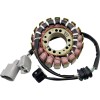 Stator stil Oe YAMAHA RICK'S MOTORSPORT ELECTRICS 21-937