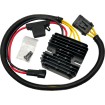 Rectificator-regulator HS serie POLARIS SPORTSMAN 850 '09-'10 RICK'S MOTORSPORT ELECTRICS 10-579H Rectificator-regulator HS serie POLARIS SPORTSMAN 850 '09-'10 RICK'S MOTORSPORT ELECTRICS 10-579H thumb