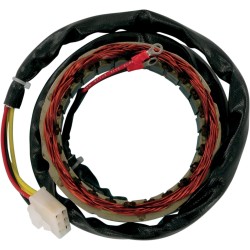 Stator stil OEM RICK'S MOTORSPORT ELECTRICS 21-101