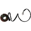 Stator stil OEM RICK'S MOTORSPORT ELECTRICS 21-302