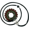 Stator stil OEM RICK'S MOTORSPORT ELECTRICS 21-303