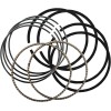 Segmenti piston 3.927