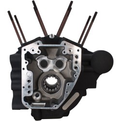Carcasa motorului TWINCAM cu deschidere de 4.125 Carcasa motorului TWINCAM cu deschidere de 4.125
