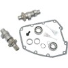 Set ax cu came 570C cu lanț S&S CYCLE 330-0003