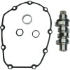 Set ax cu came 465C cu lanț S&S CYCLE 330-0620