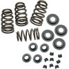Set de arcuri pentru supape SIDEWINDER 0.650