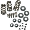 Set de arcuri pentru supape SIDEWINDER 0.650 Set de arcuri pentru supape SIDEWINDER 0.650