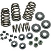 Set de arcuri pentru supape SIDEWINDER 0.650 Set de arcuri pentru supape SIDEWINDER 0.650