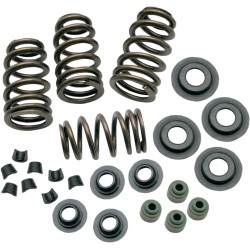 Set de arcuri pentru supape SIDEWINDER 0.650 Set de arcuri pentru supape SIDEWINDER 0.650