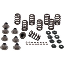 Set de arcuri supapă heavy duty pentru motoare M8 S&S CYCLE 900-0958