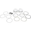 Set pistoane forjate 113