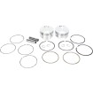 Set pistoane forjate 113