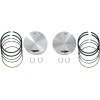 Set pistoane forjate 113