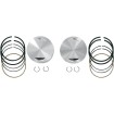 Set pistoane forjate 113 Set pistoane forjate 113