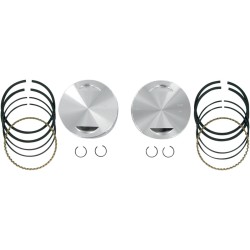 Set pistoane forjate 113 Set pistoane forjate 113