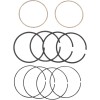 Segmenti pentru piston 3.875