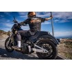 Aripă spate fibră de carbon lucioasă SADDLEMEN CF-818-30-001 Aripă spate fibră de carbon lucioasă SADDLEMEN CF-818-30-001 thumb