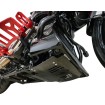 Placă de protecție împotriva loviturilor carbon gloss cu negru 2024 FLHX FLTRX THRASHIN TSC-3034-1 Placă de protecție împotriva loviturilor carbon gloss cu negru 2024 FLHX FLTRX THRASHIN TSC-3034-1 thumb