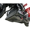 Placă de protecție împotriva loviturilor carbon gloss cu roșu 2024 FLHX FLTRX THRASHIN TSC-3034-2 Placă de protecție împotriva loviturilor carbon gloss cu roșu 2024 FLHX FLTRX THRASHIN TSC-3034-2 thumb