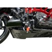 Placă de protecție împotriva loviturilor carbon gloss cu roșu 2024 FLHX FLTRX THRASHIN TSC-3034-2 Placă de protecție împotriva loviturilor carbon gloss cu roșu 2024 FLHX FLTRX THRASHIN TSC-3034-2 thumb