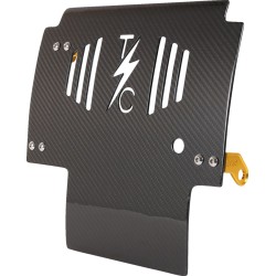 Placă de protecție împotriva loviturilor carbon gloss cu aur 2024 FLHX FLTRX THRASHIN TSC-3034-5 Placă de protecție împotriva loviturilor carbon gloss cu aur 2024 FLHX FLTRX THRASHIN TSC-3034-5
