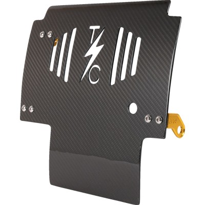 Placă de protecție împotriva loviturilor carbon gloss cu aur 2024 FLHX FLTRX THRASHIN TSC-3034-5