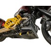 Placă de protecție împotriva loviturilor carbon gloss cu aur 2024 FLHX FLTRX THRASHIN TSC-3034-5 Placă de protecție împotriva loviturilor carbon gloss cu aur 2024 FLHX FLTRX THRASHIN TSC-3034-5 thumb