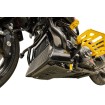 Placă de protecție împotriva loviturilor carbon gloss cu aur 2024 FLHX FLTRX THRASHIN TSC-3034-5 Placă de protecție împotriva loviturilor carbon gloss cu aur 2024 FLHX FLTRX THRASHIN TSC-3034-5 thumb